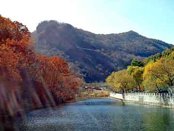 新澳天天开奖资料大全旅游团，涤纶格栅